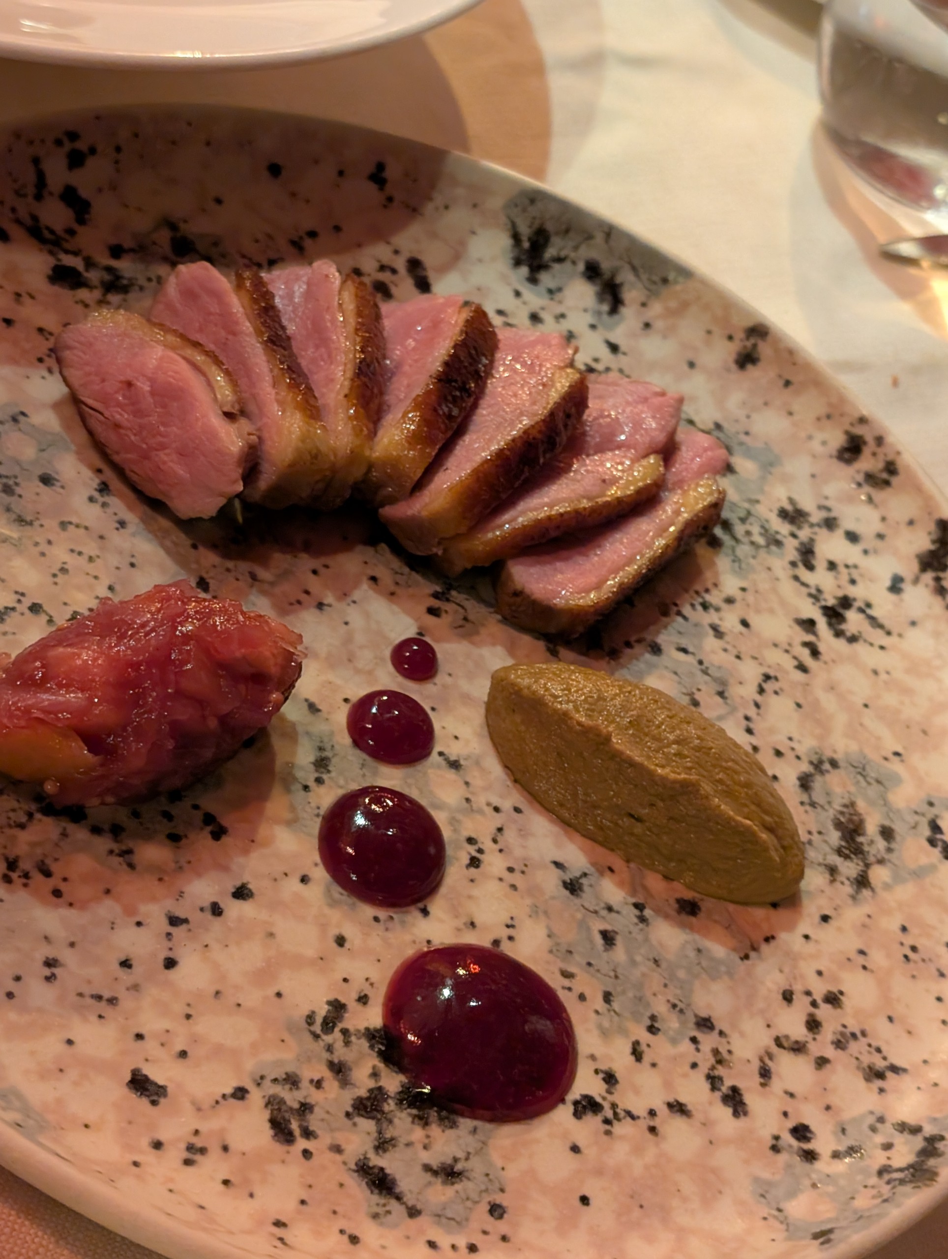 Sliced rare duck breast on a speckled pink ceramic with fruit compote, sauce quenelle, and dots of red berry sauce at Bistrot de Venise, Venice