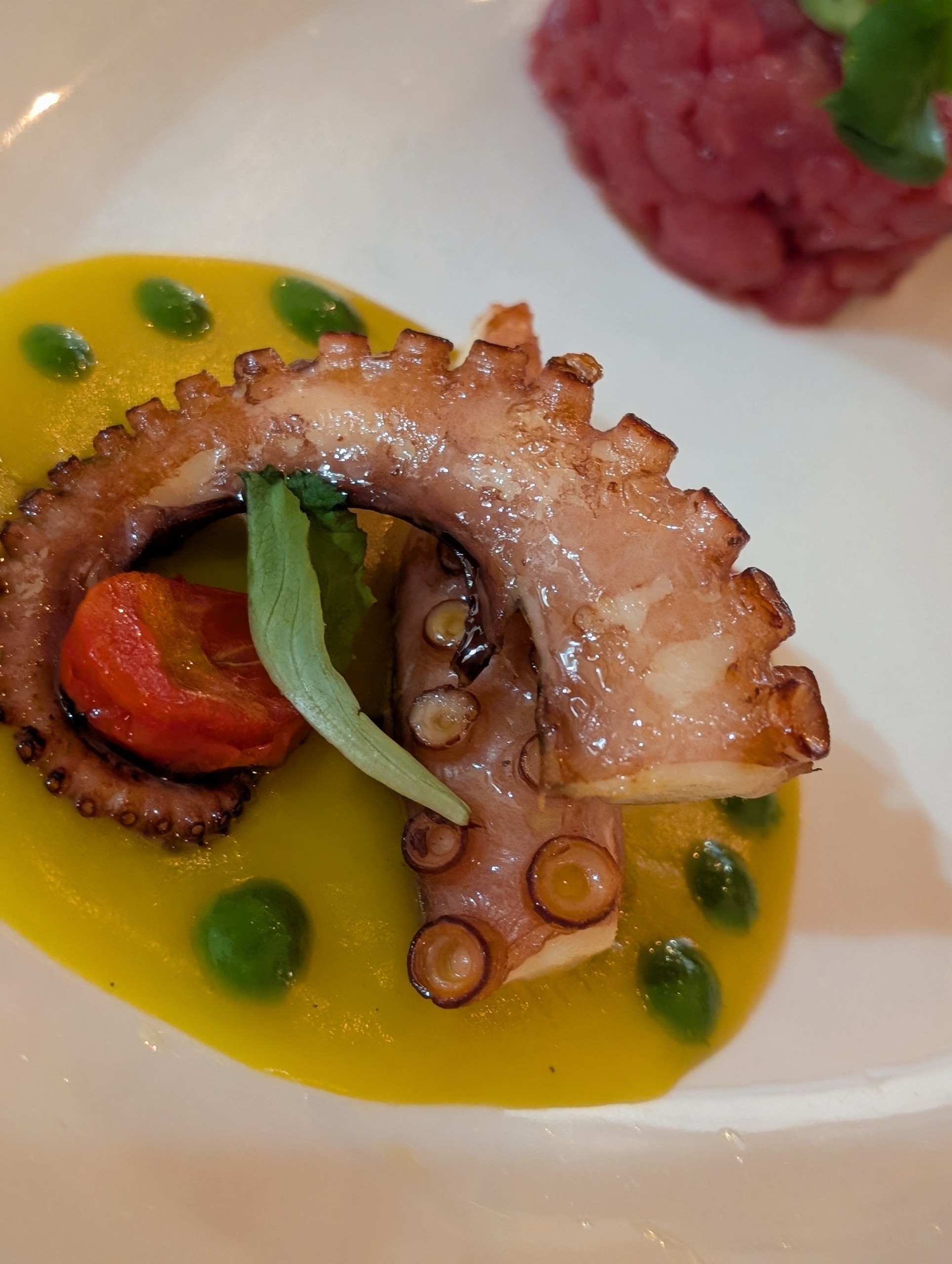 Grilled octopus tentacle on green pea sauce with cherry tomato and basil at Cantinetta delle Terme, Florence