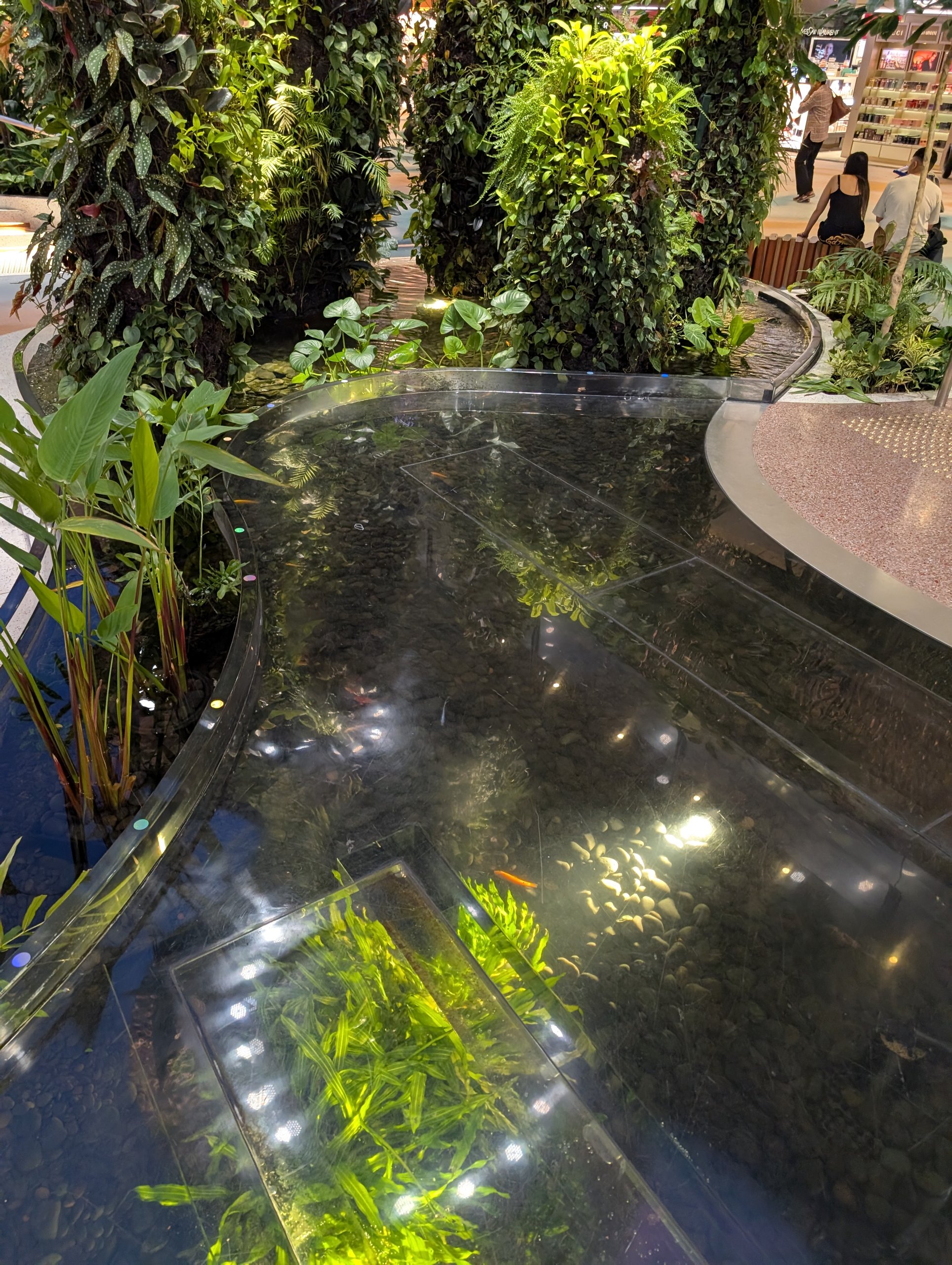 Koi pond and green wall planters in the public atrium of Changi Airport Terminal 2