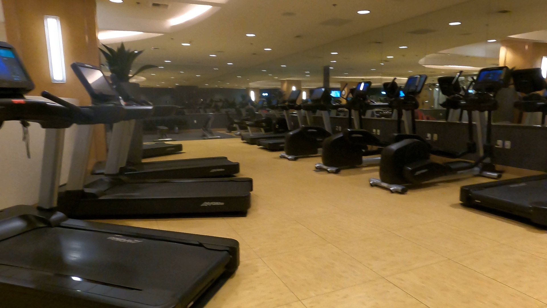Wide view of the Marriott Grand Chateau gym with treadmills, ellipticals and stationary bikes
