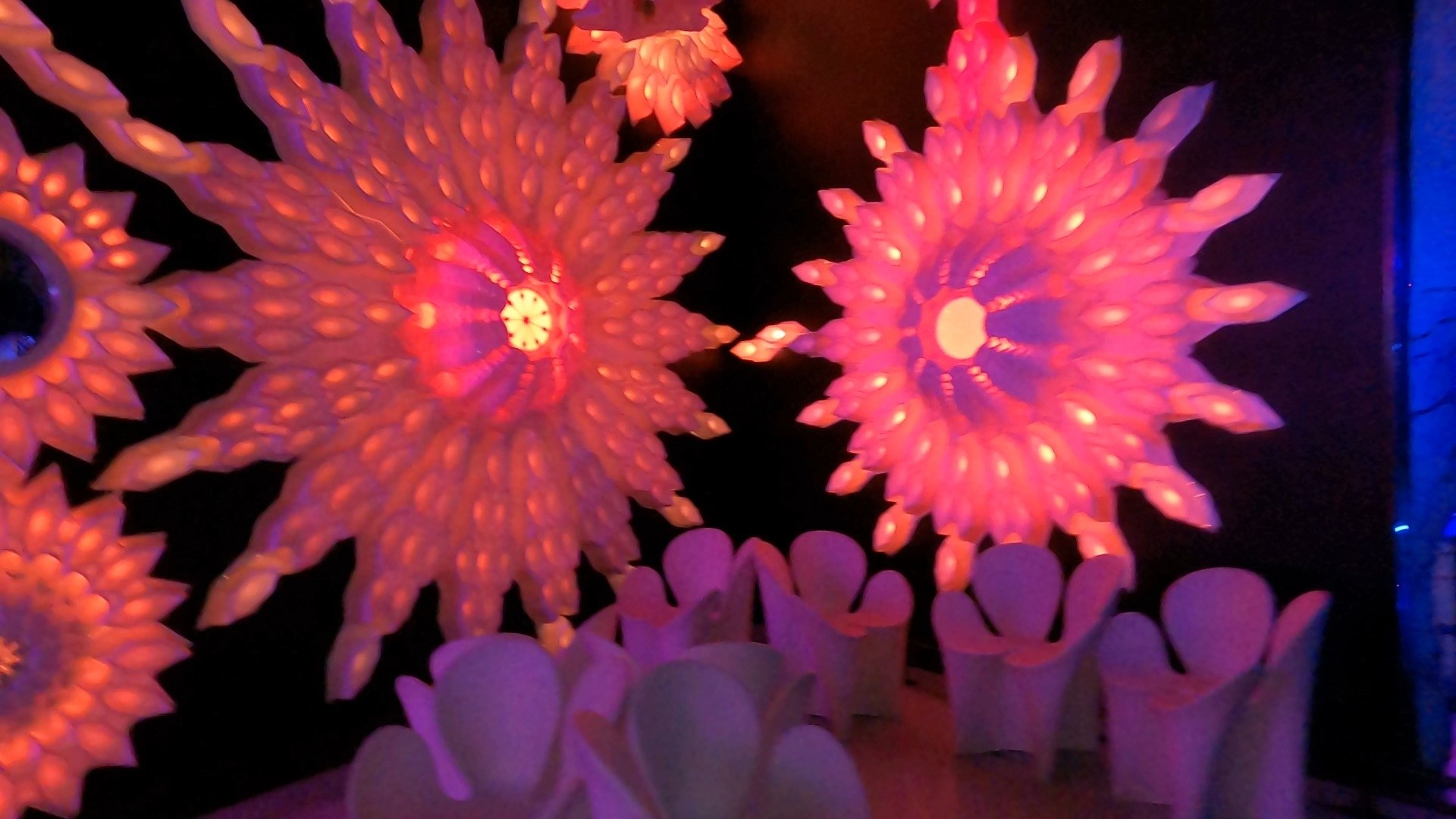 Pink illuminated flower anemone art installation tucked inside the Omega Mart portals