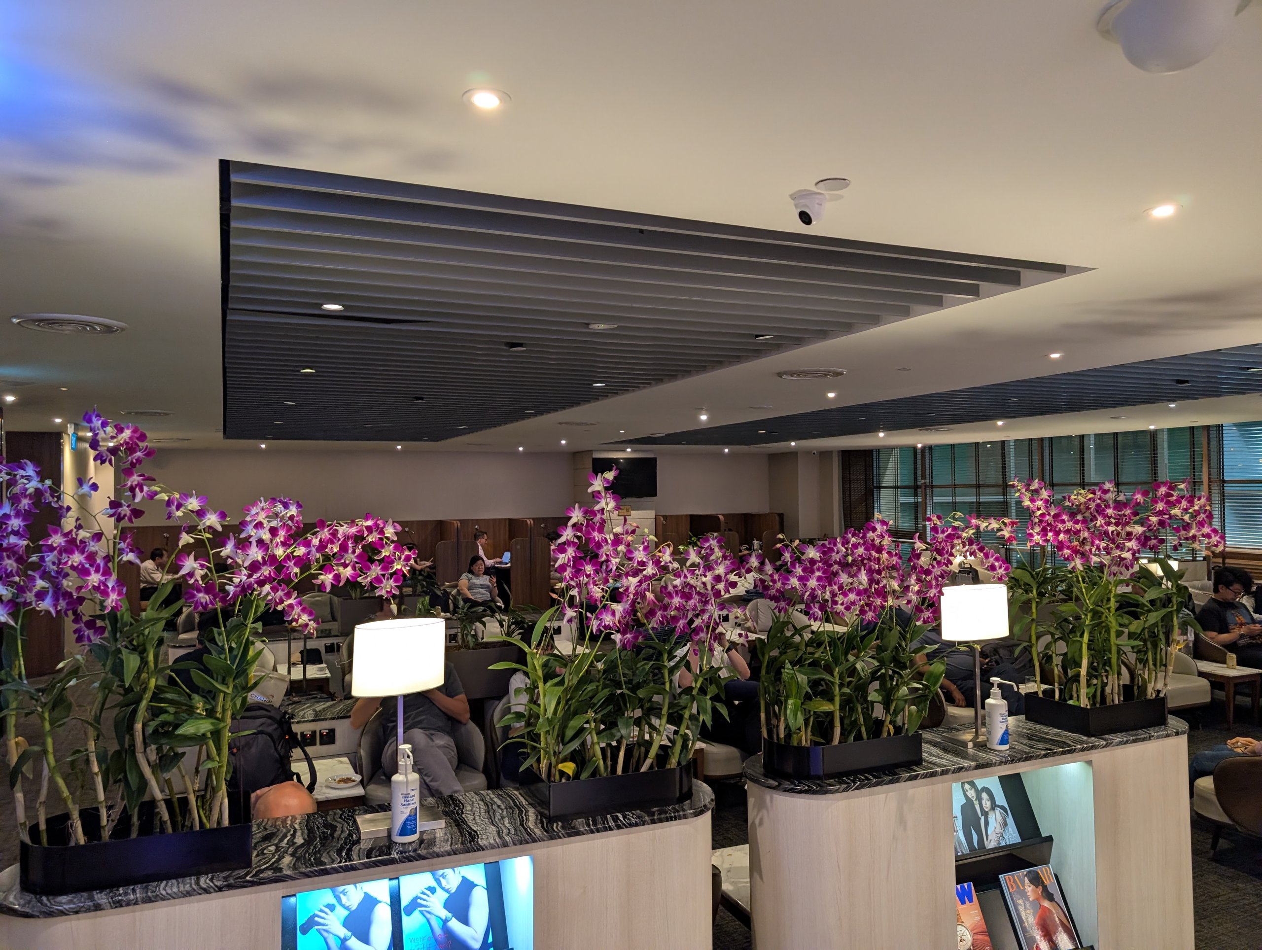 The main seating room at the SATS Premier Lounge Changi T2 framed by purple orchid arrangements and large windows