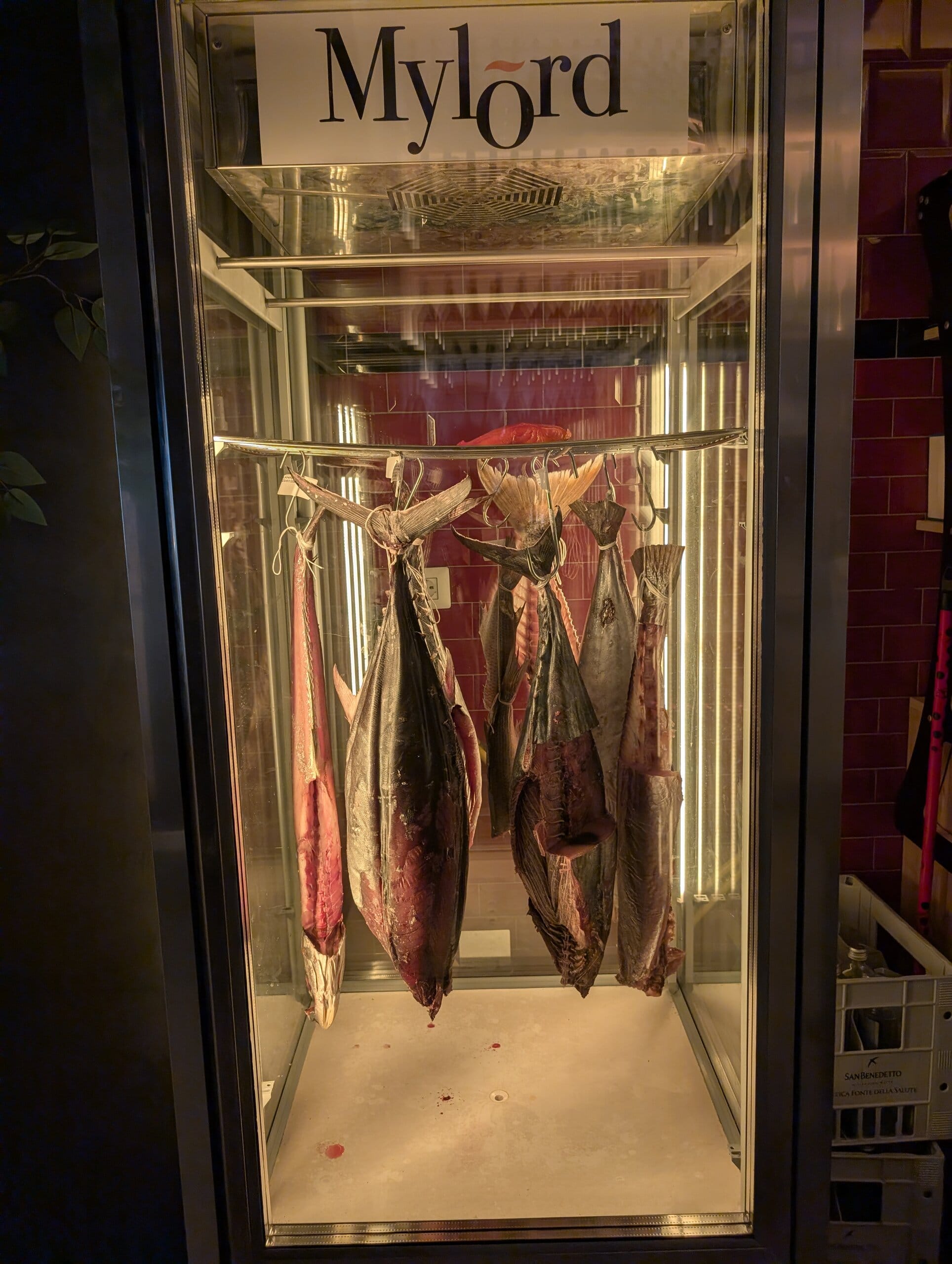 Whole fish hanging in a glass dry aging cabinet at Mylord in Civitavecchia