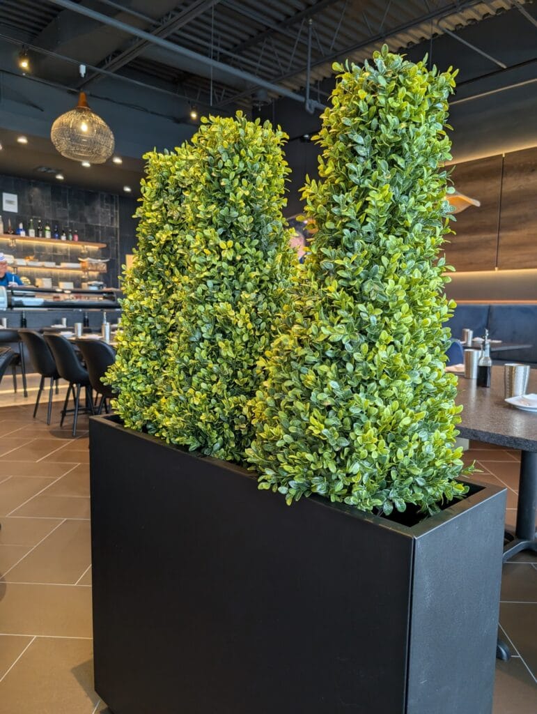 A tall boxwood planter dividing the tables from the sushi counter.