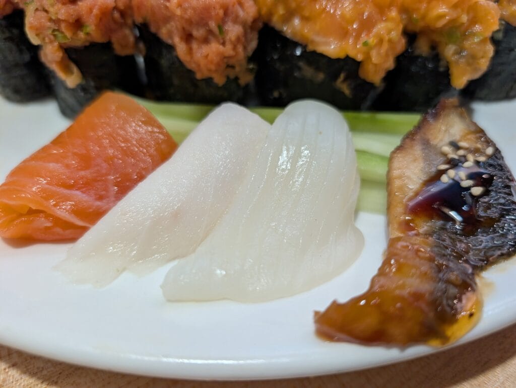 Side sashimi at e Sushi: salmon on the left with no visible marbling, two translucent slices of squid in the middle, and glazed eel with sesame on the right.
