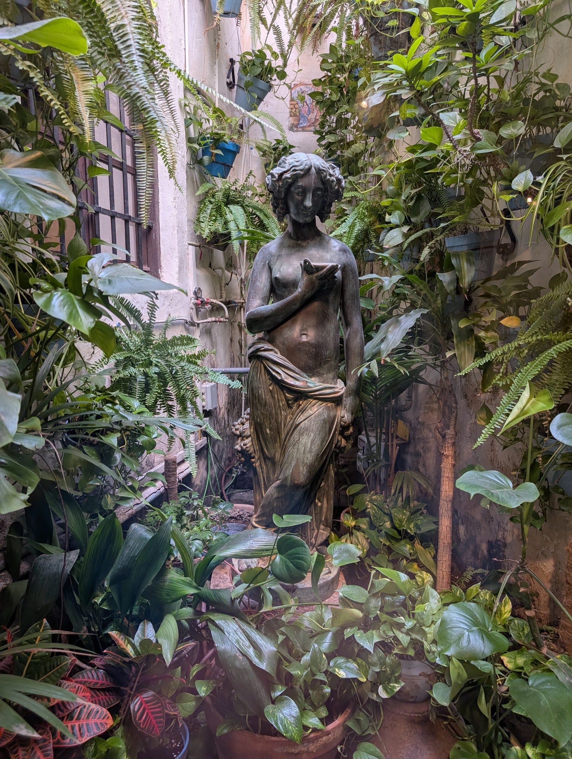 Statue surrounded by ferns and hanging plants in the green courtyard at El Pimpi in Málaga