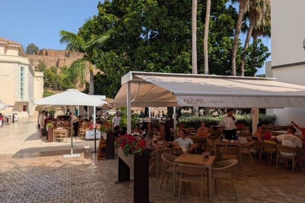 The shaded El Pimpi terrace on Calle Alcazabilla in Malaga with the walls of the Alcazaba on the hill behind the palms.