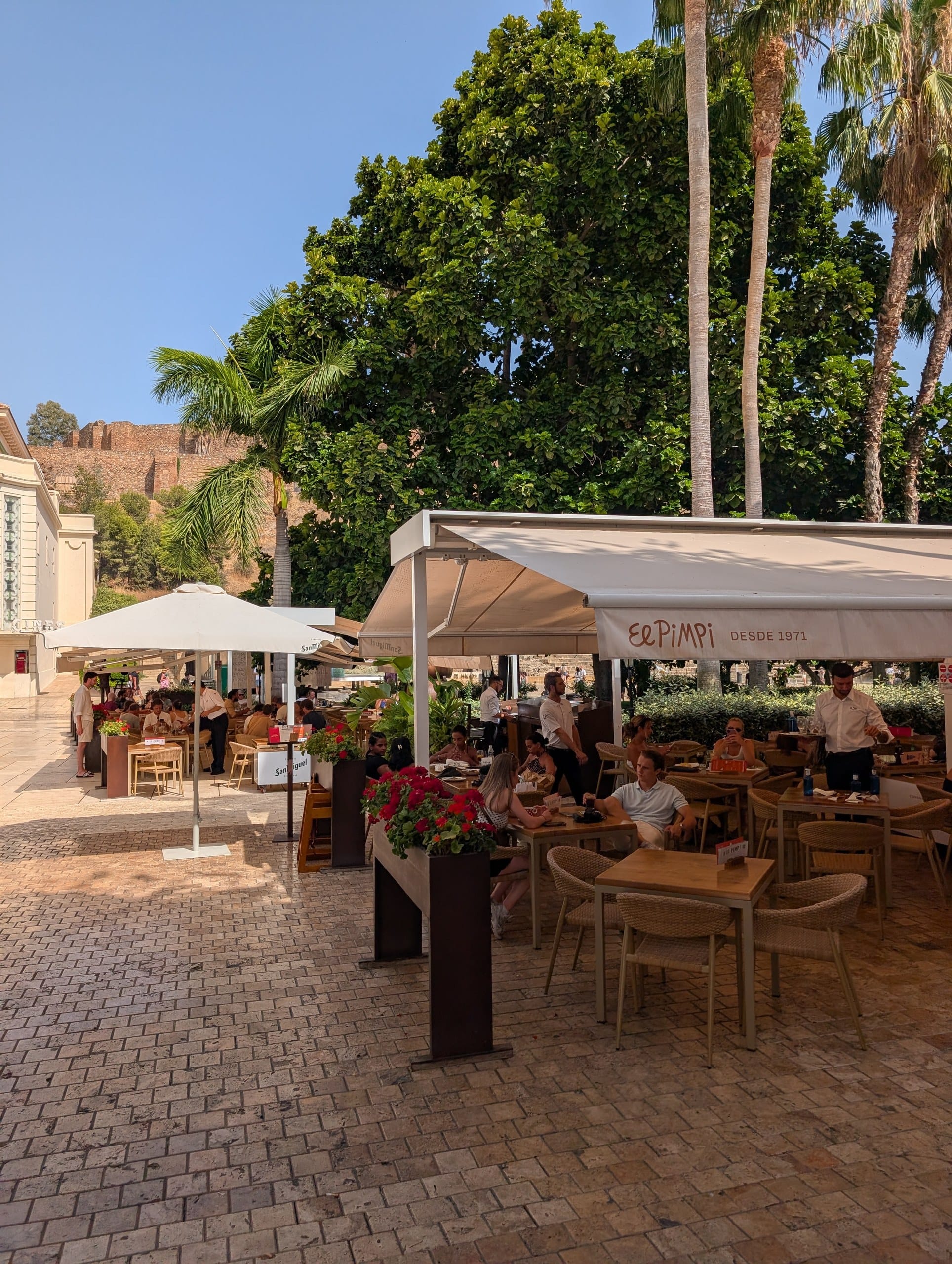 Shaded El Pimpi terrace with awnings reading Desde 1971 and the Alcazaba on the hill behind