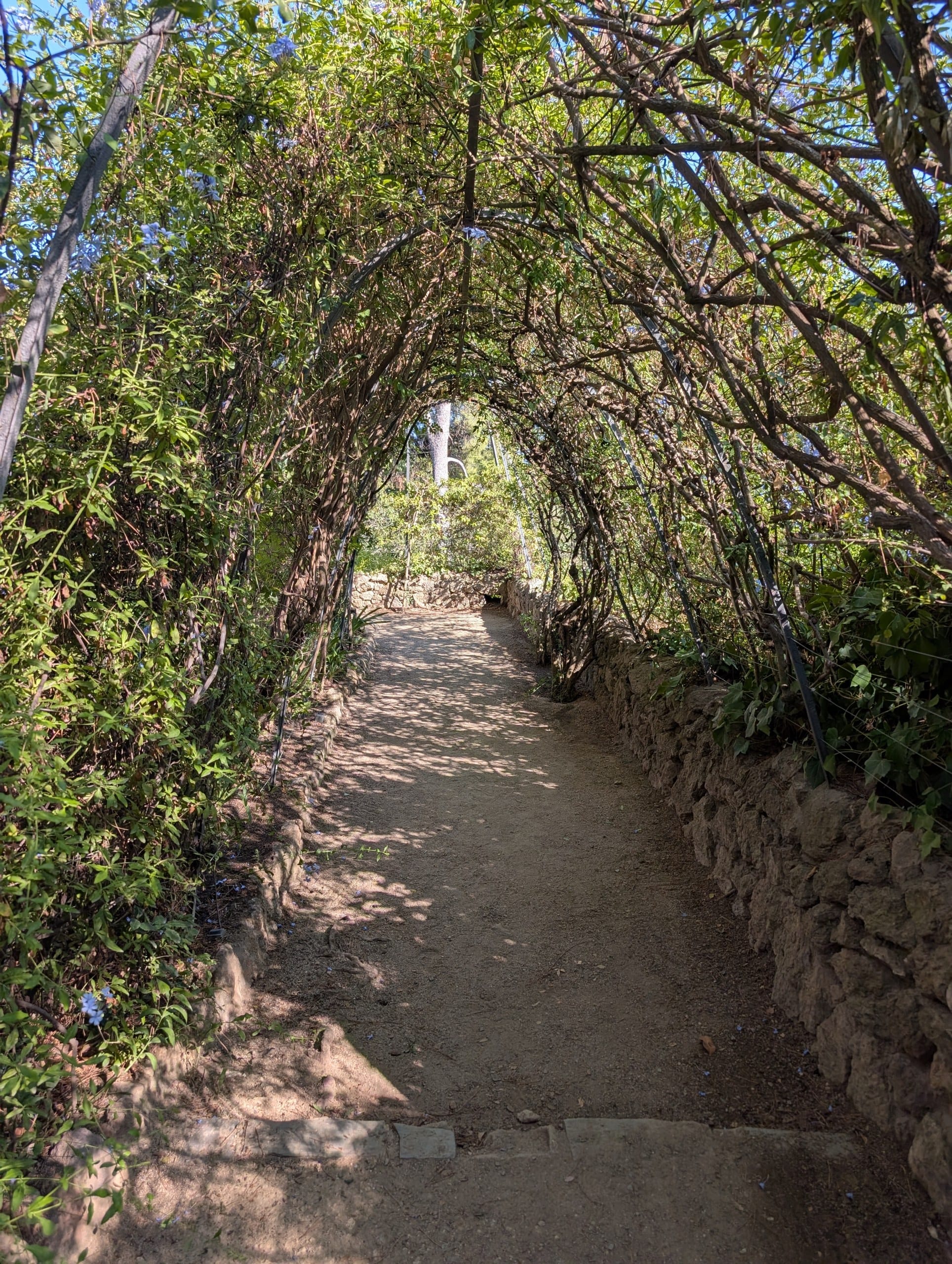 A shaded path through the greenery at Park Guell