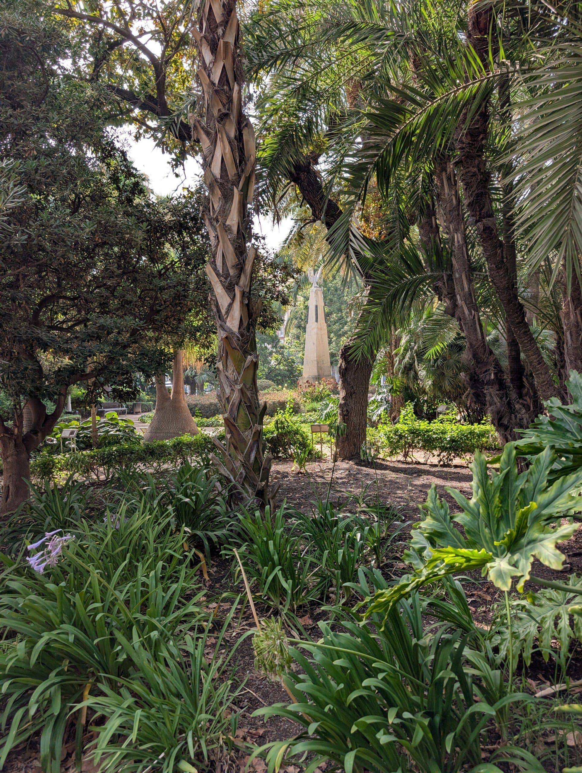 Palm garden in the Parque de Malaga near the port