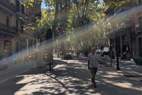 The tree lined Rambla del Poblenou in Barcelona on an August morning