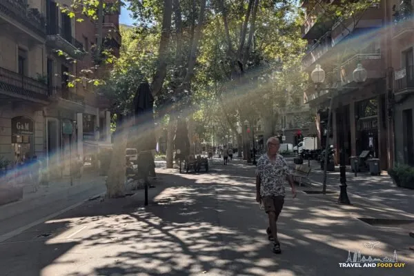 The tree lined Rambla del Poblenou in Barcelona on an August morning