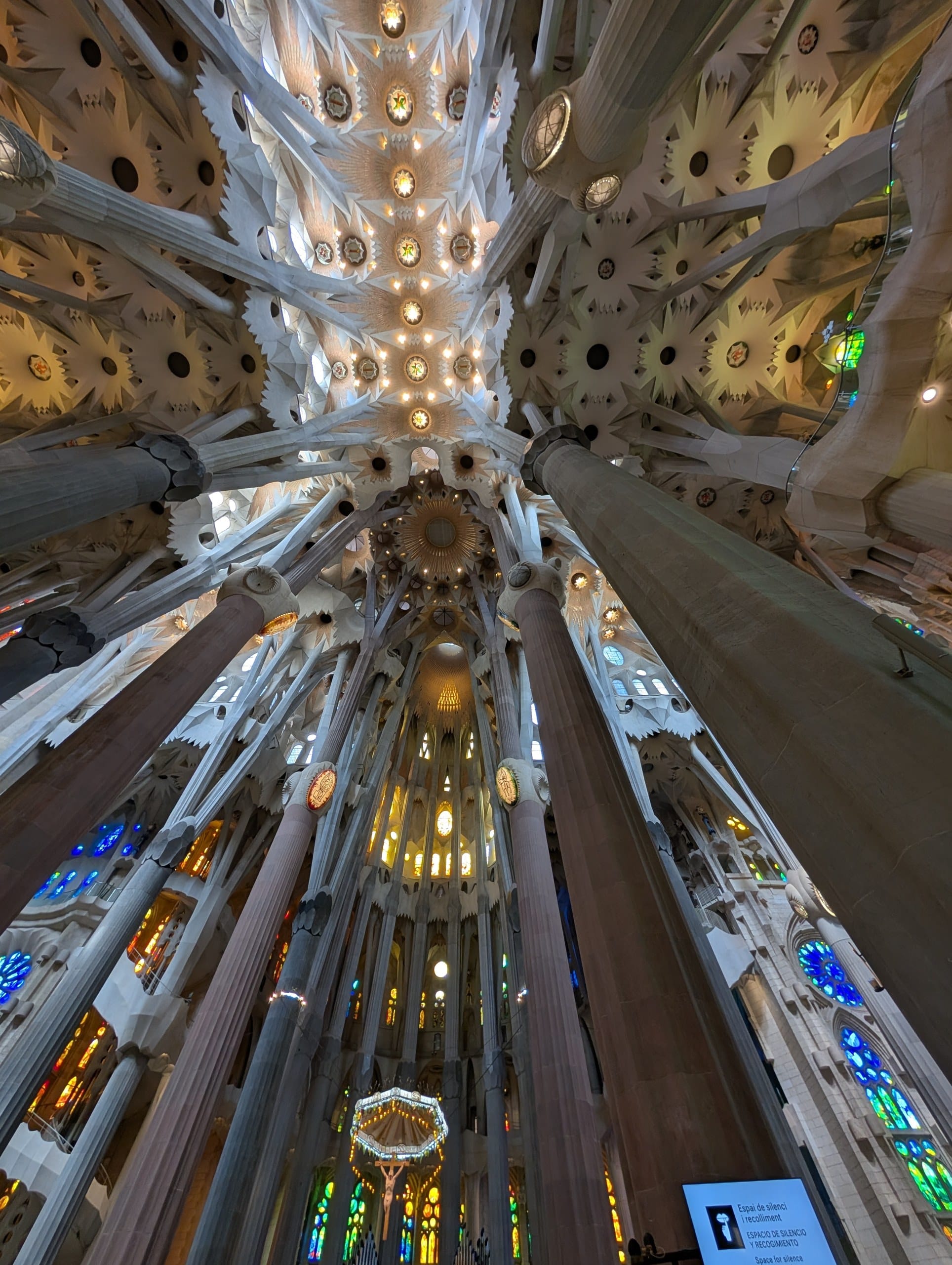 The vaulted ceiling of the Sagrada Familia seen from the nave floor