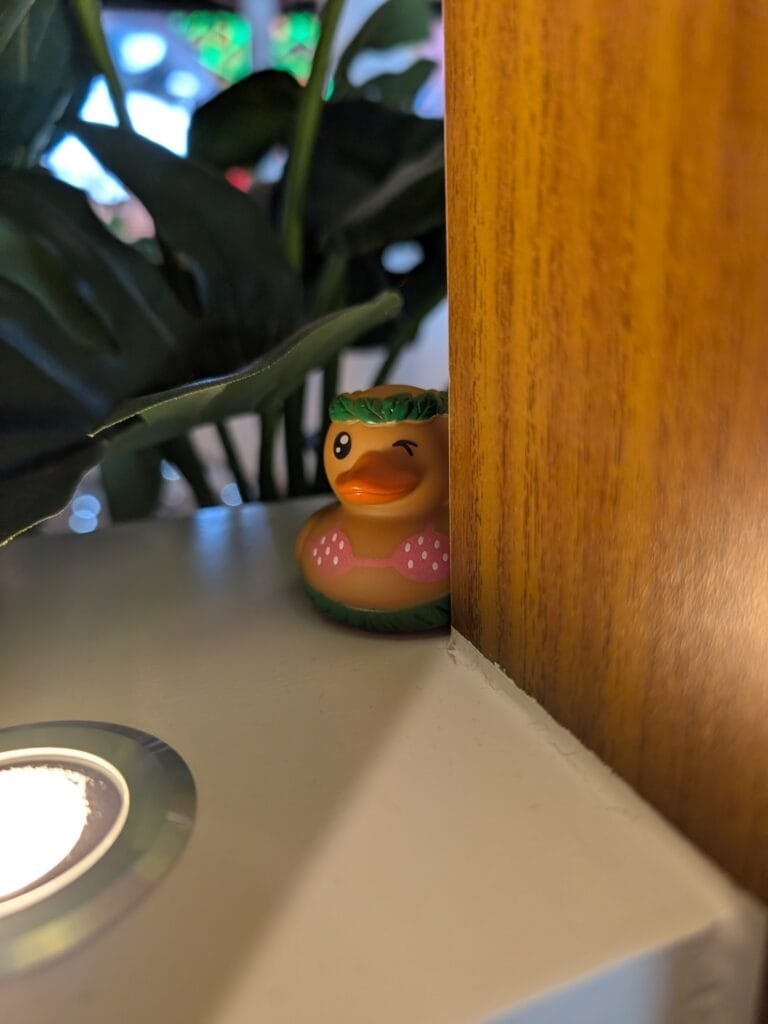 A cruising duck hidden on a ledge aboard Legend of the Seas