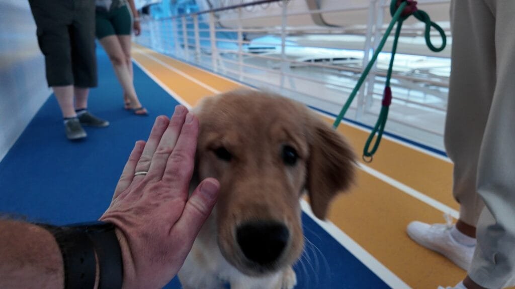 Skipper, the Chief Dog Officer of Legend of the Seas, on the running track
